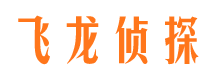 开原私家调查公司